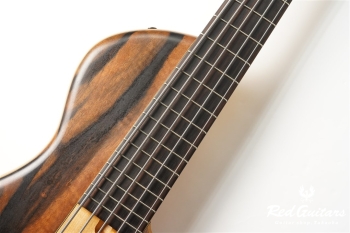Platinum Series Single-Cut , e-volution 5 - Macassar Ebony